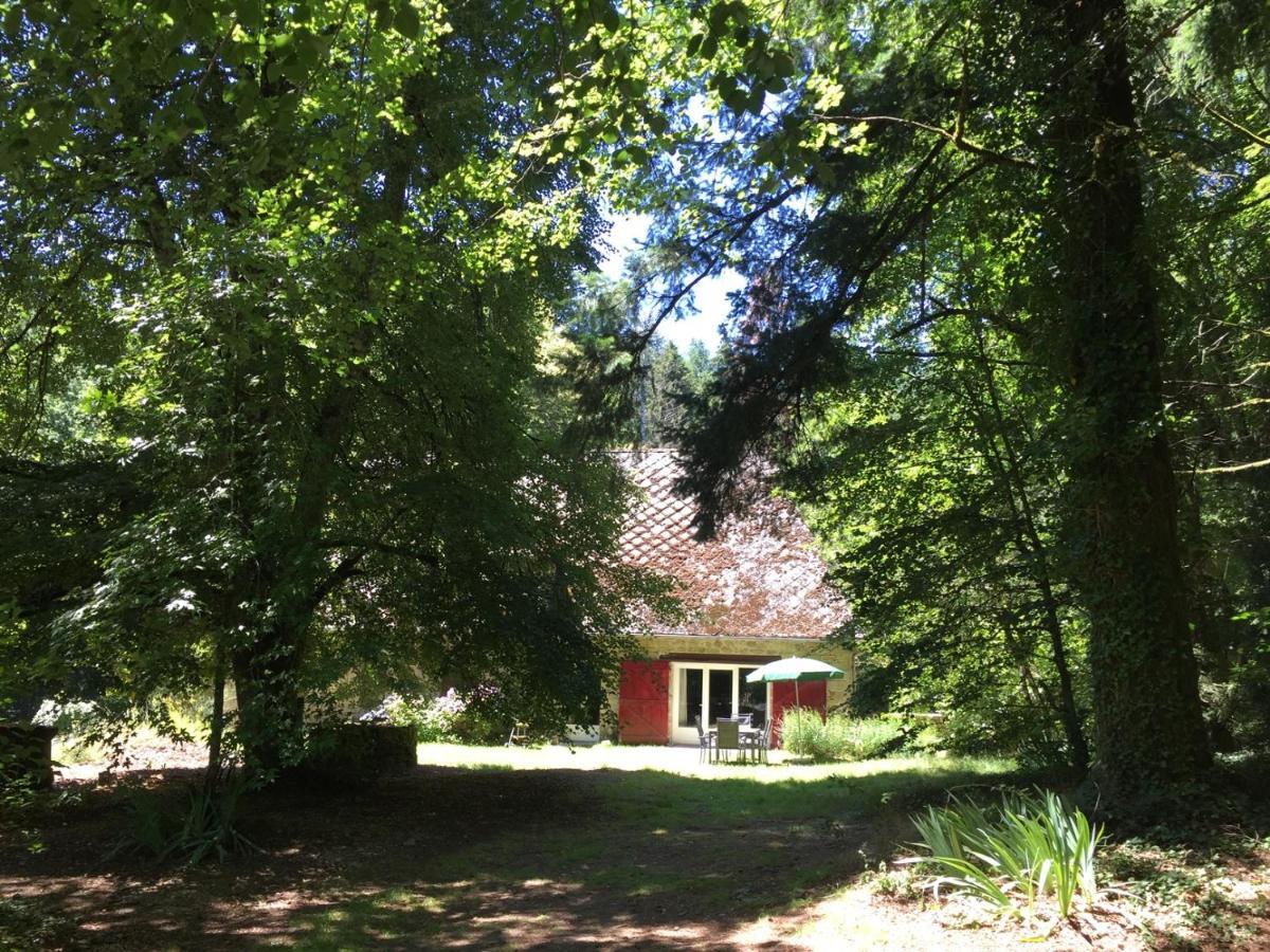 Gites Chateau Le Bois Saint-Julien-aux-Bois المظهر الخارجي الصورة