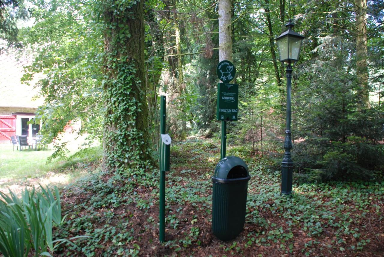 Gites Chateau Le Bois Saint-Julien-aux-Bois المظهر الخارجي الصورة