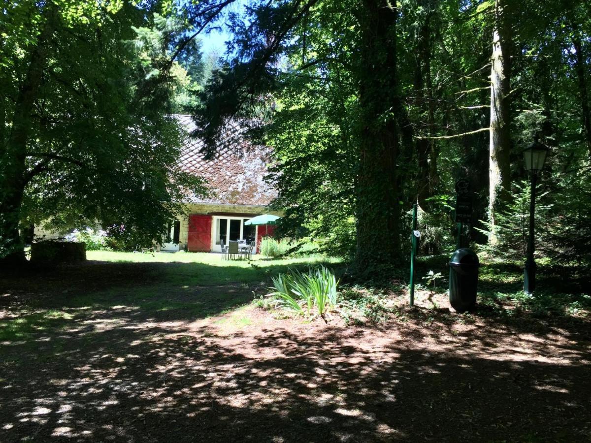 Gites Chateau Le Bois Saint-Julien-aux-Bois المظهر الخارجي الصورة