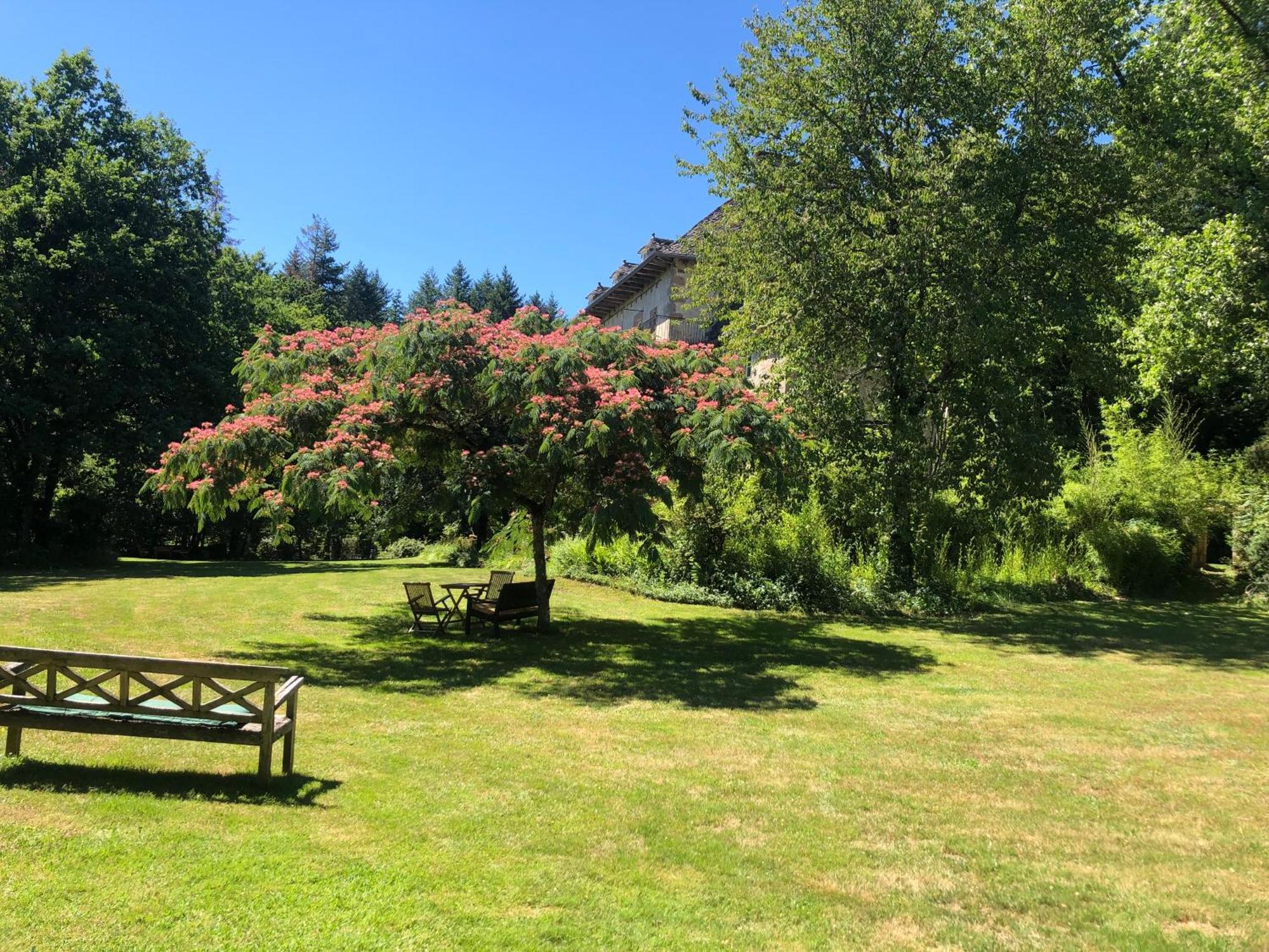 Gites Chateau Le Bois Saint-Julien-aux-Bois المظهر الخارجي الصورة