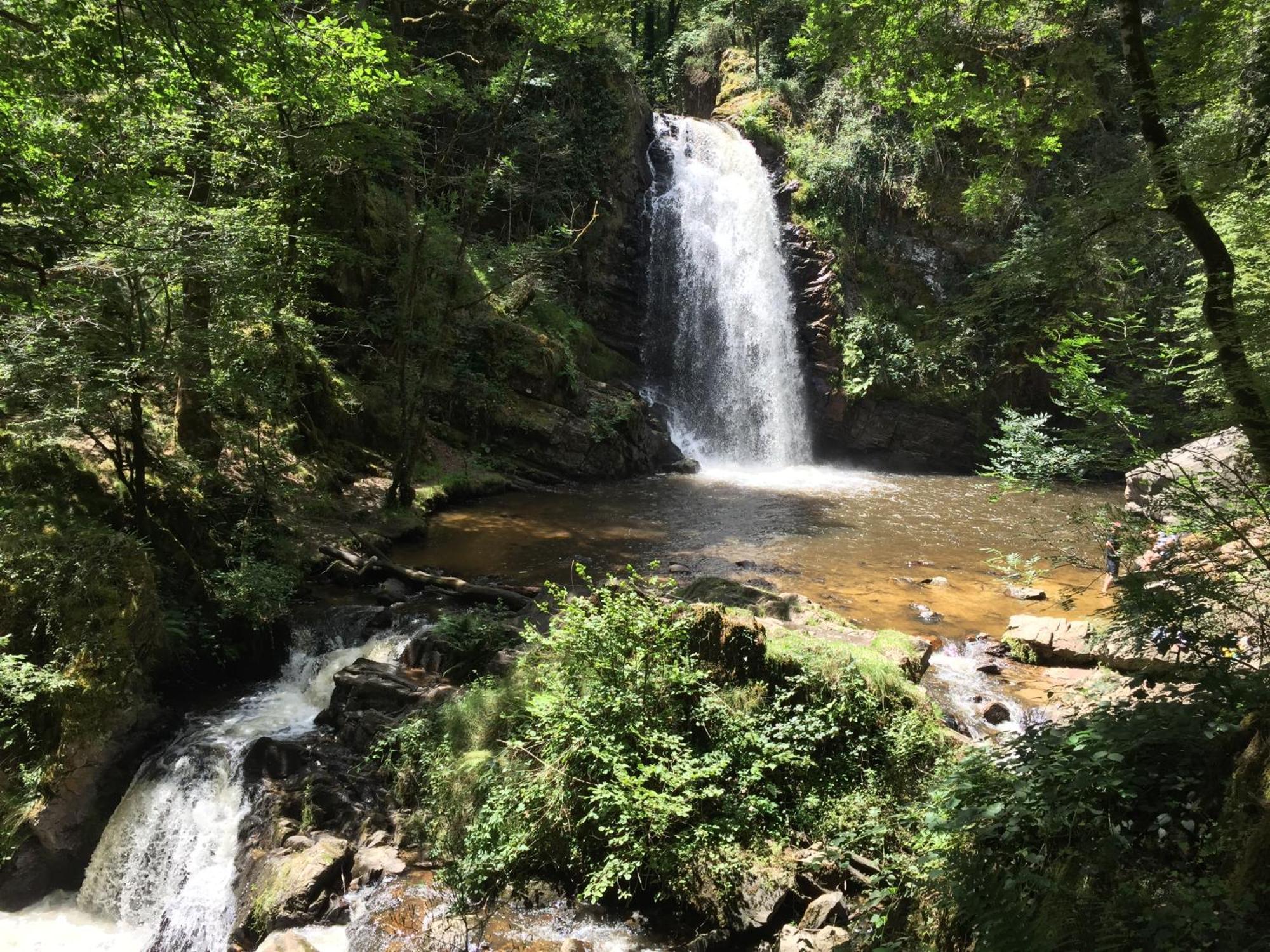 Gites Chateau Le Bois Saint-Julien-aux-Bois المظهر الخارجي الصورة