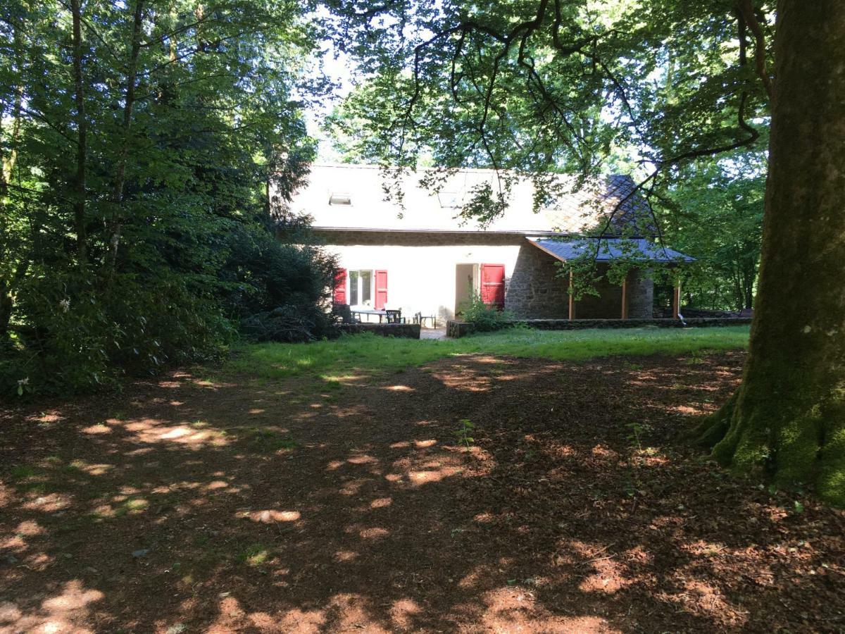 Gites Chateau Le Bois Saint-Julien-aux-Bois المظهر الخارجي الصورة