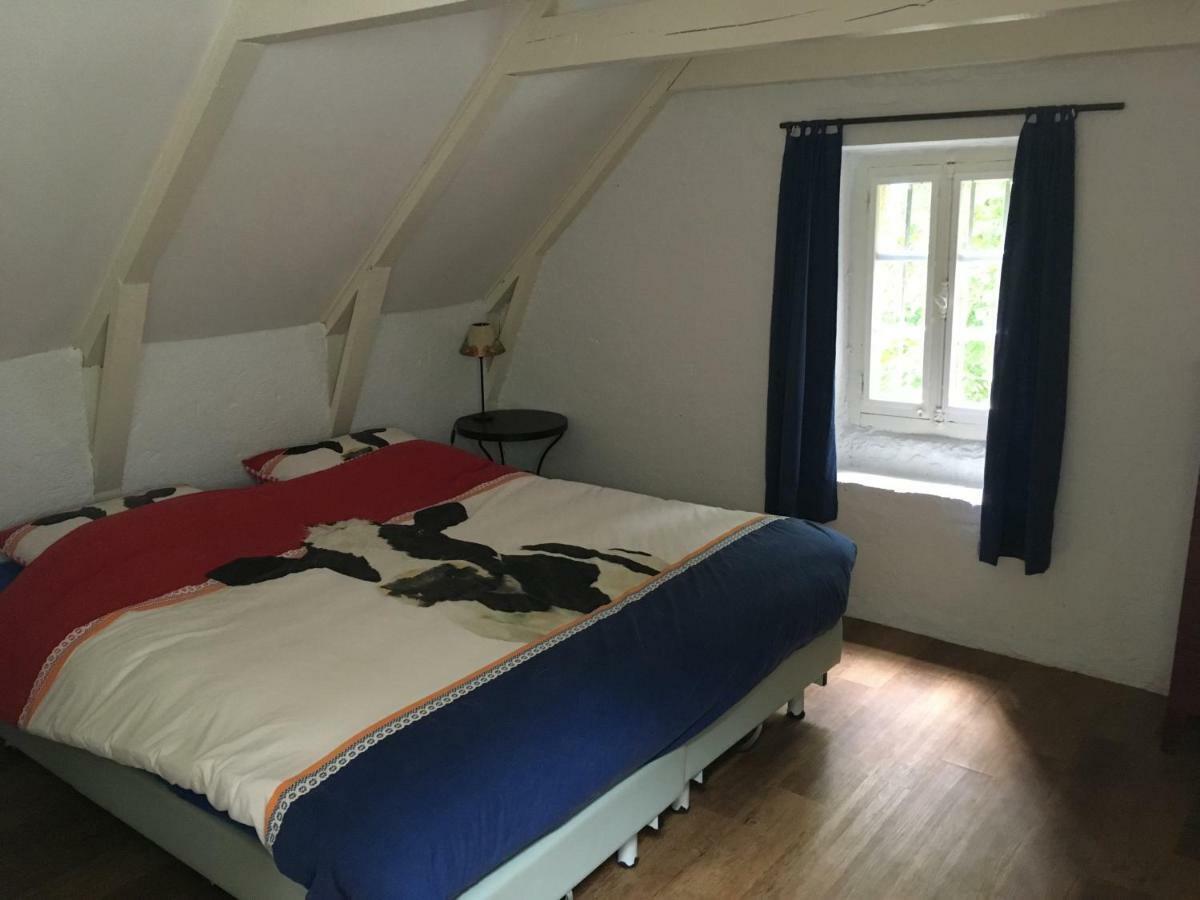Gites Chateau Le Bois Saint-Julien-aux-Bois المظهر الخارجي الصورة