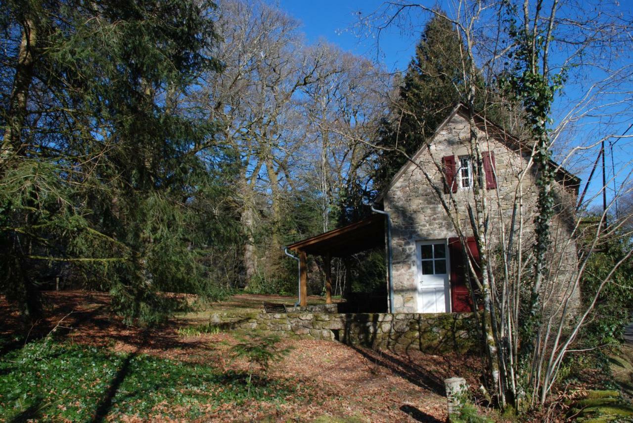 Gites Chateau Le Bois Saint-Julien-aux-Bois المظهر الخارجي الصورة