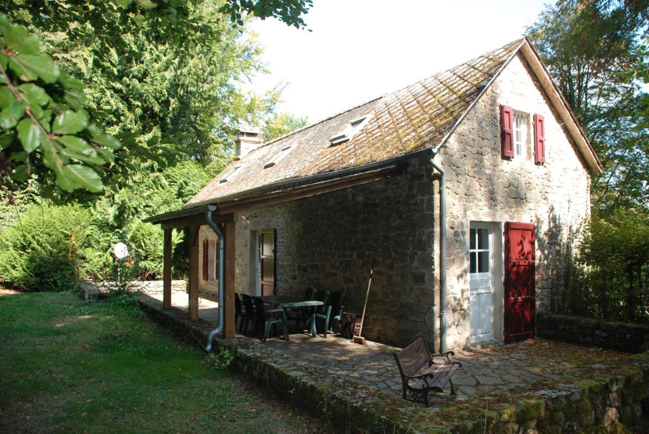Gites Chateau Le Bois Saint-Julien-aux-Bois المظهر الخارجي الصورة